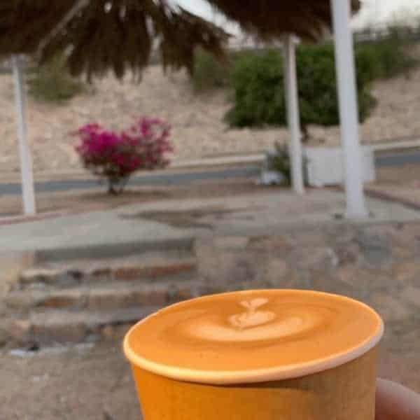 مقهى حدائق نجمة الطائف (الاسعار+ المنيو+ الموقع)