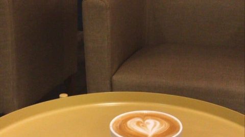 Concept cafe – كونسبت كافيه (الاسعار + المنيو + الموقع)